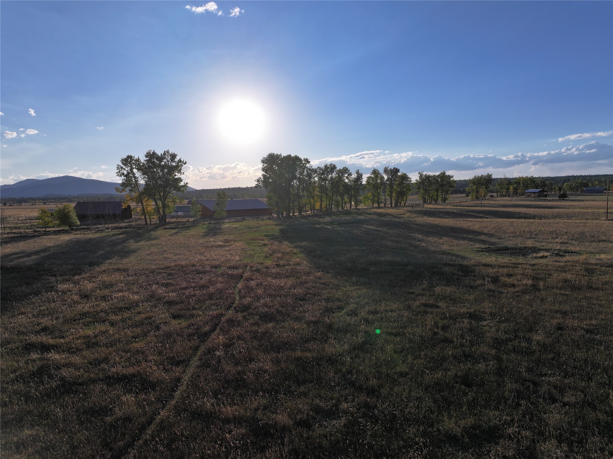 NHN Rolling Dog Ranch Lane