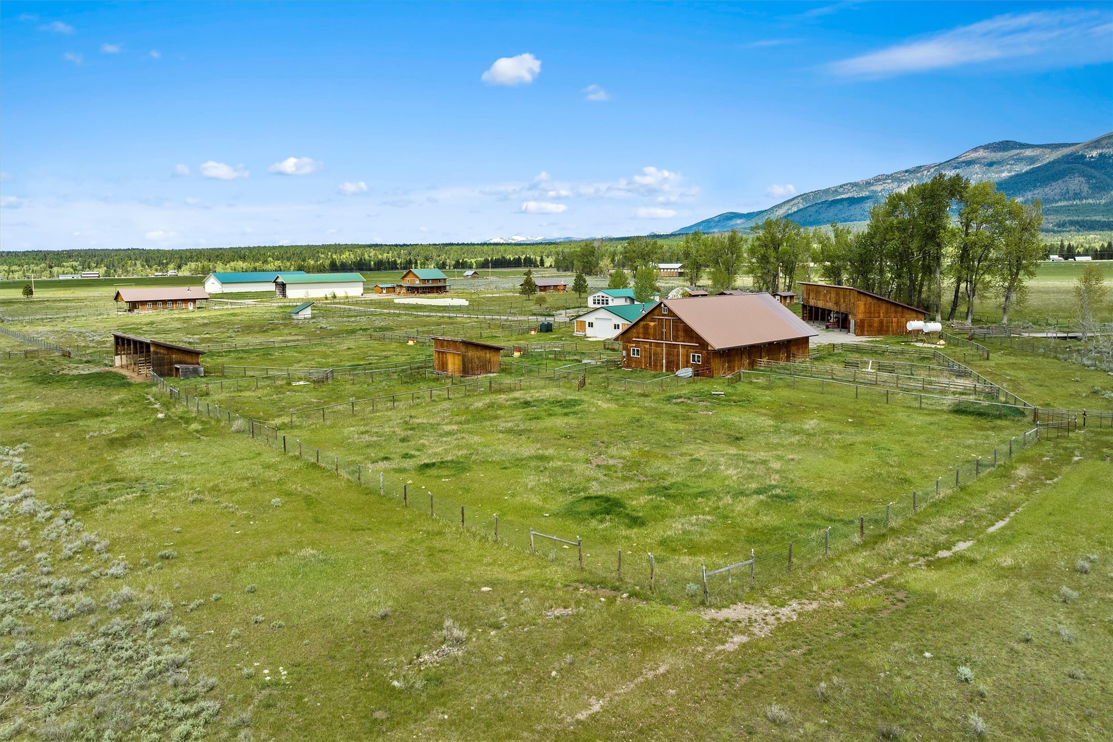 NHN Rolling Dog Ranch Lane