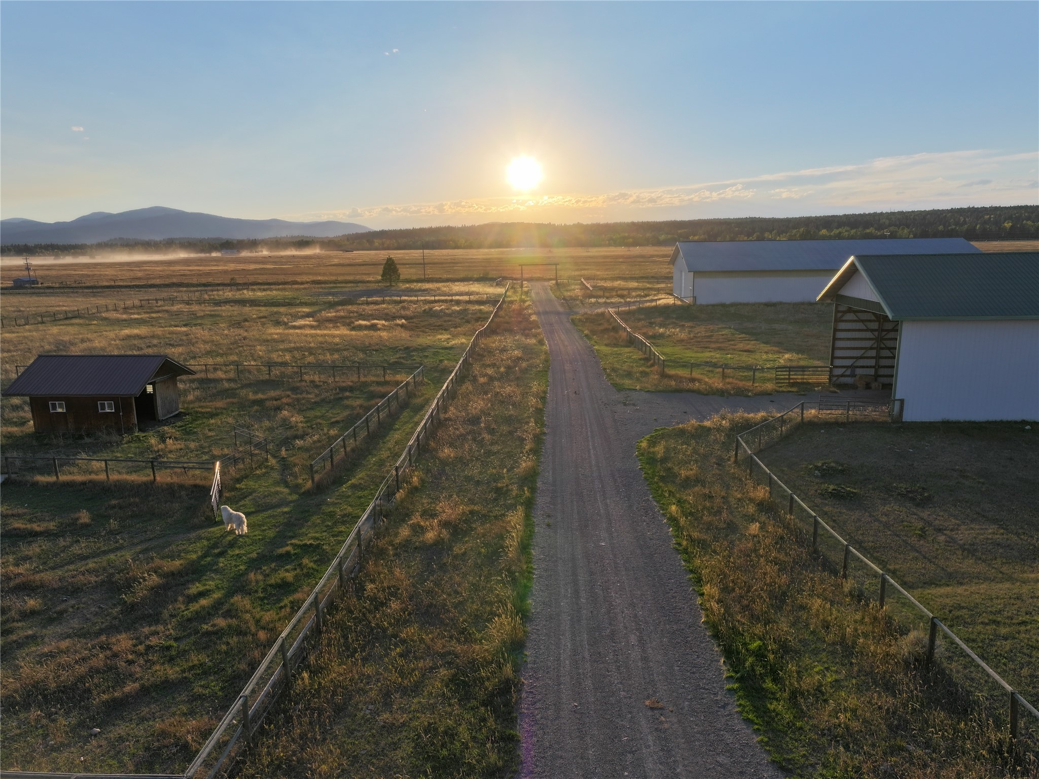 NHN Rolling Dog Ranch Lane
