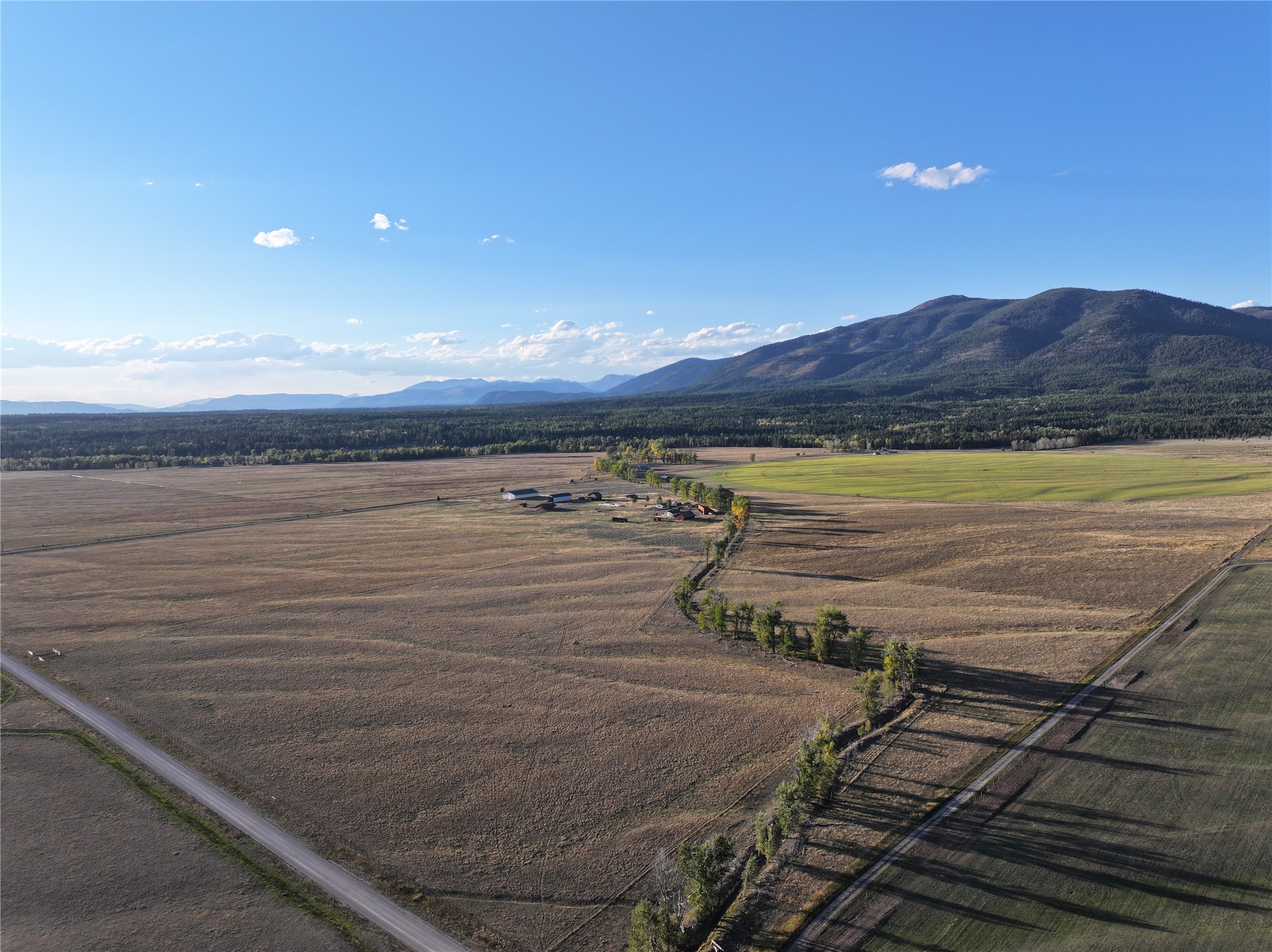 NHN Rolling Dog Ranch Lane