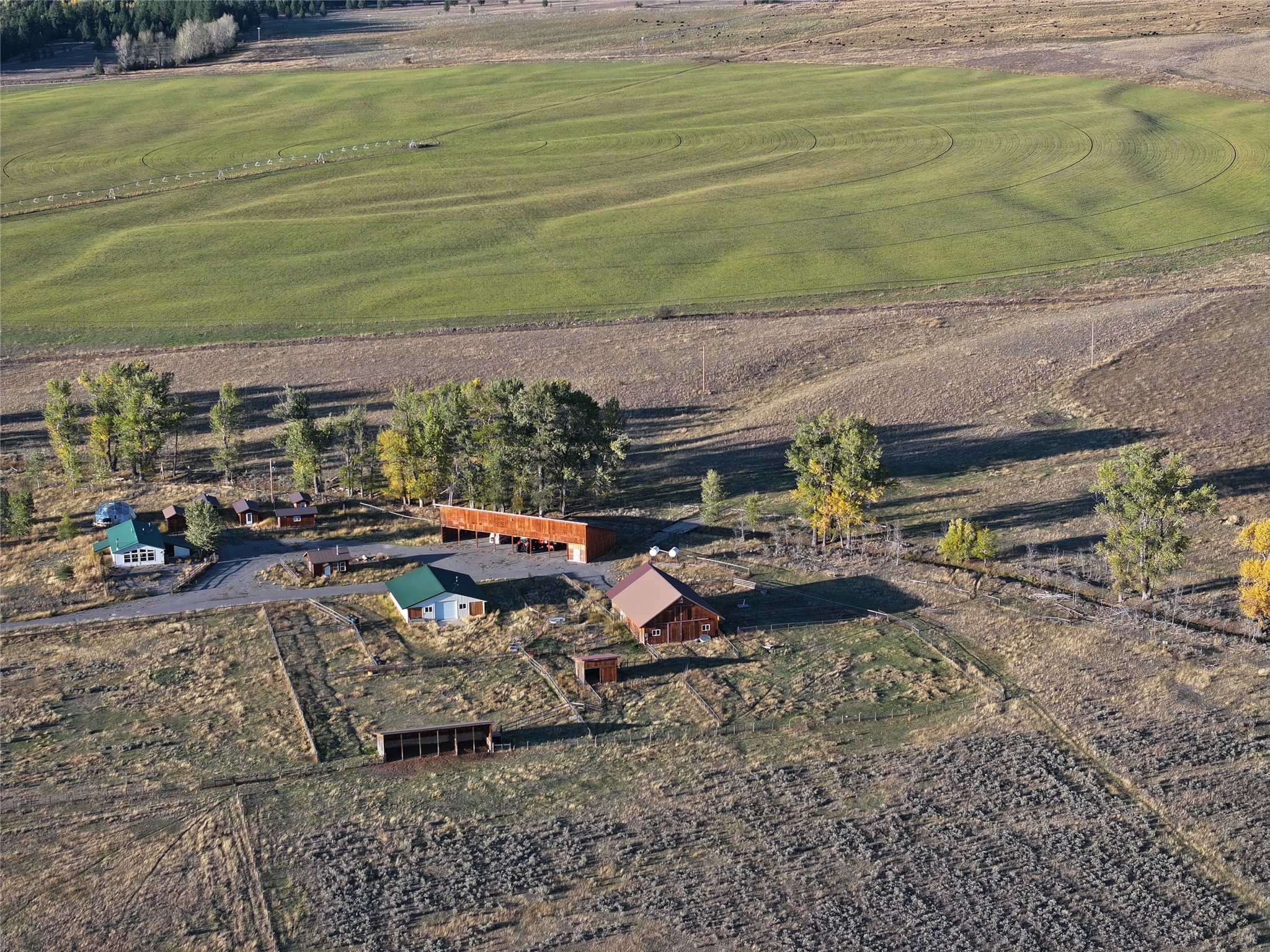 NHN Rolling Dog Ranch Lane
