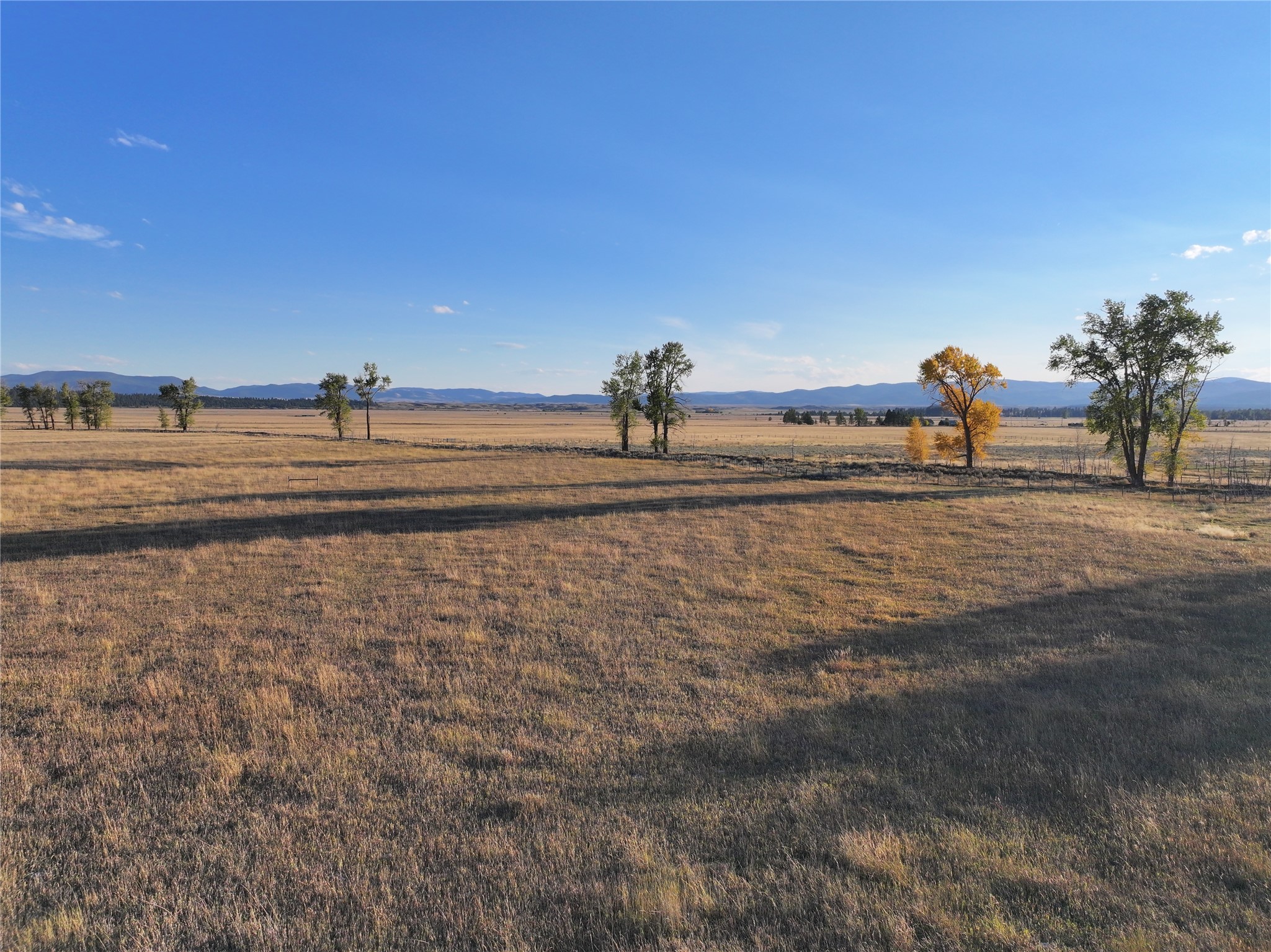 NHN Rolling Dog Ranch Lane