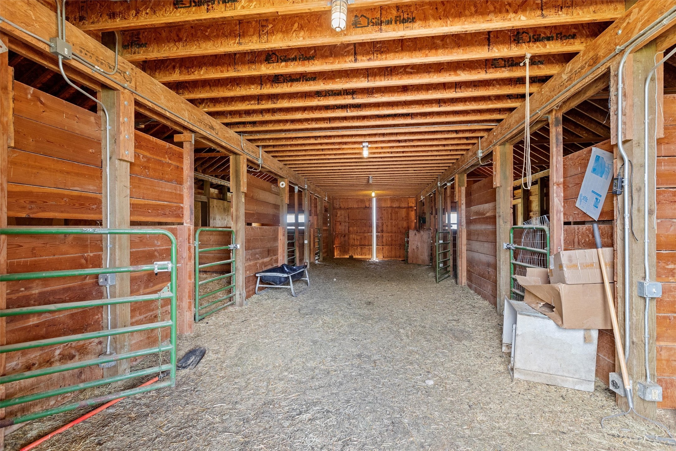 NHN Rolling Dog Ranch Lane