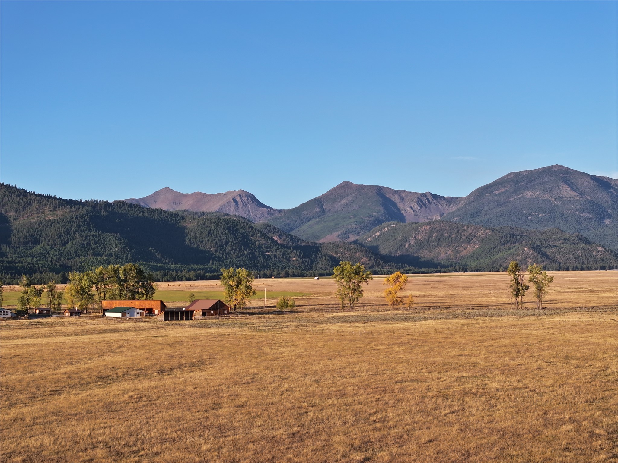 NHN Rolling Dog Ranch Lane