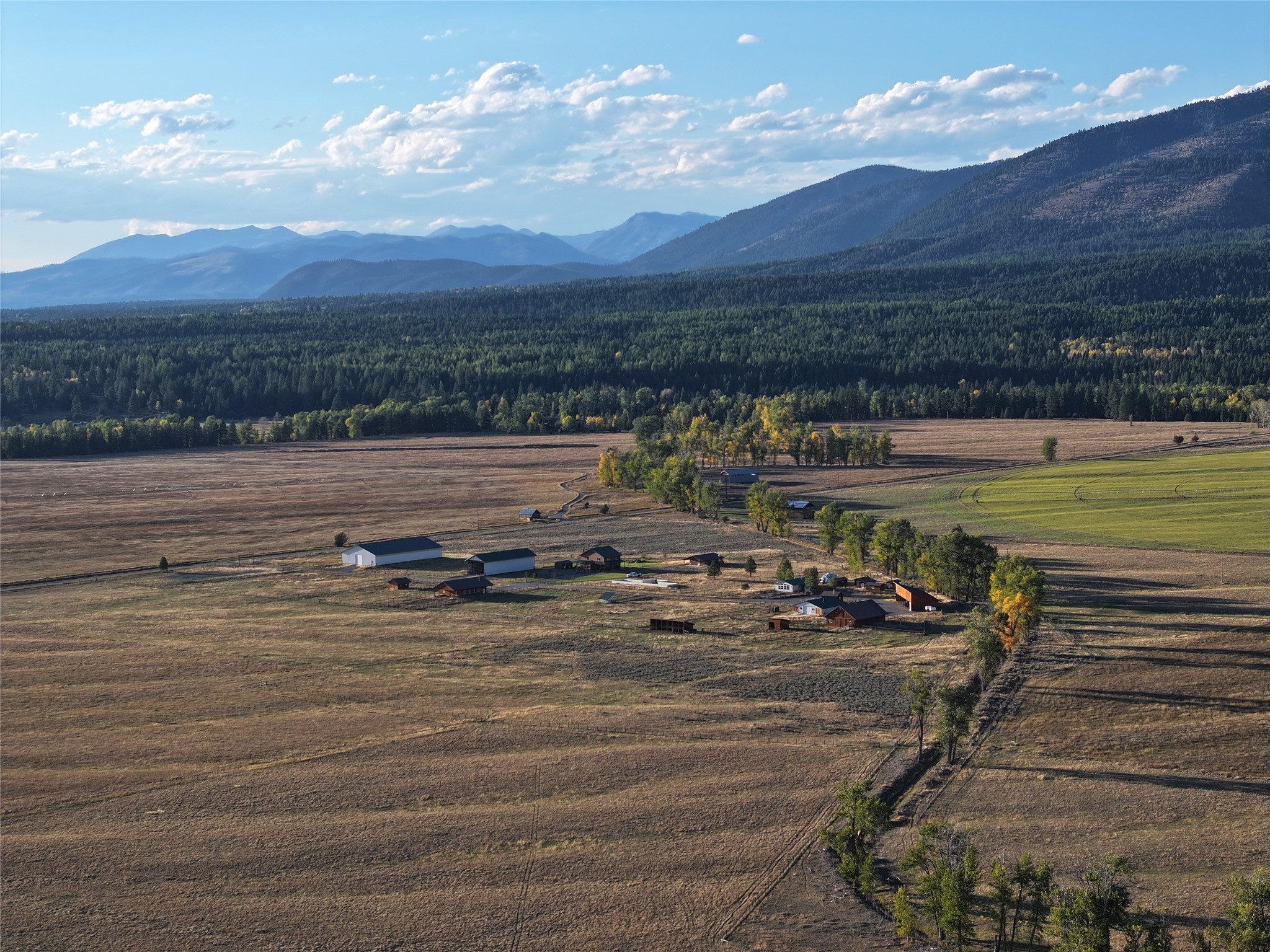 NHN Rolling Dog Ranch Lane