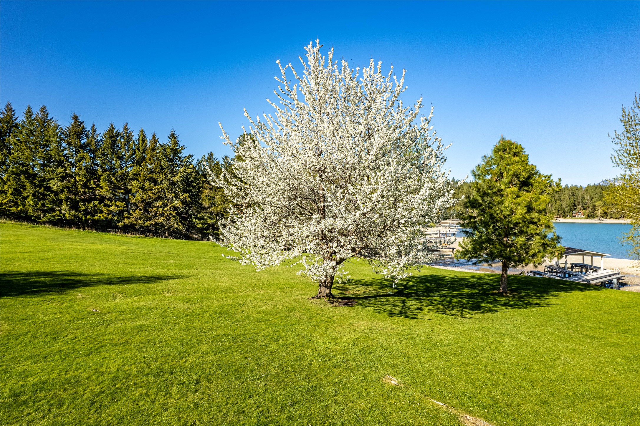 31402 Rocky Shores & 32162 Rocky Point Road Lane