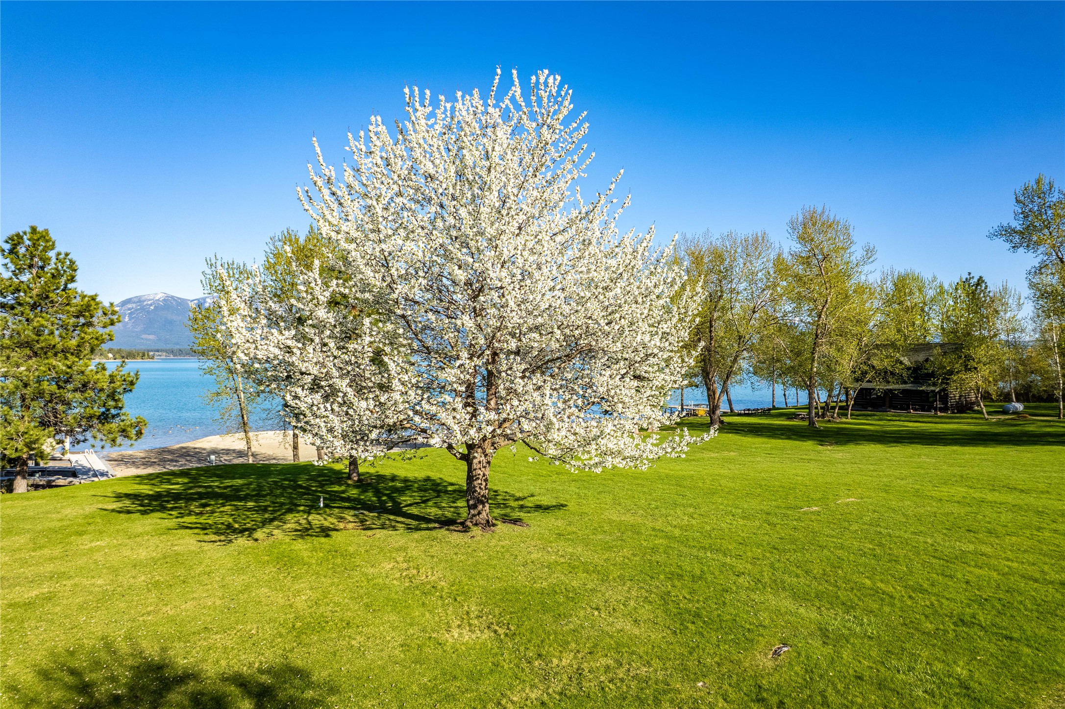 31402 Rocky Shores Lane