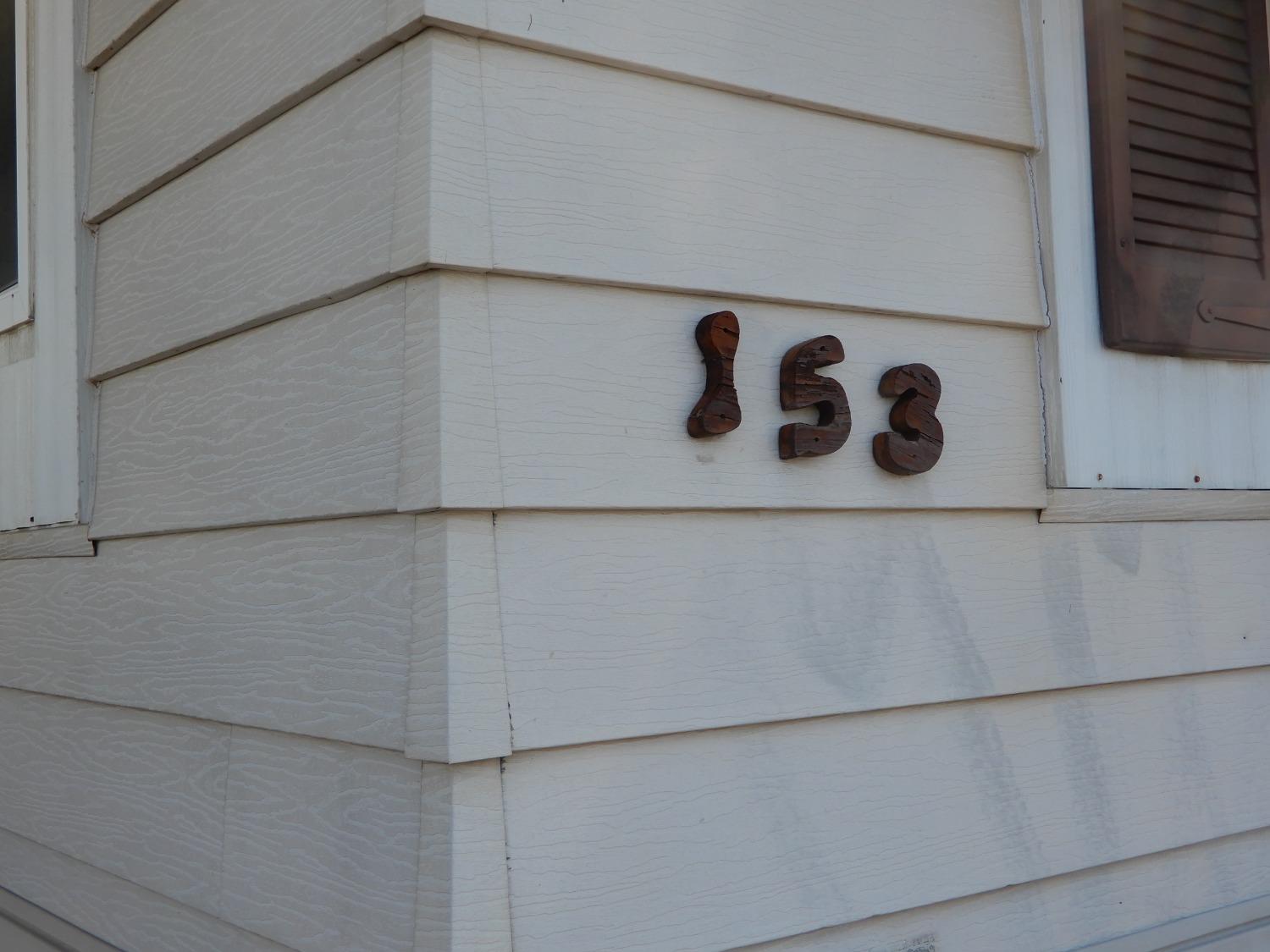 153 Hibiscus