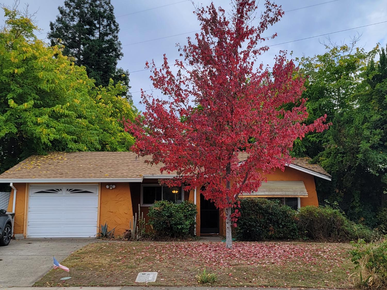 8542 Everglade Drive