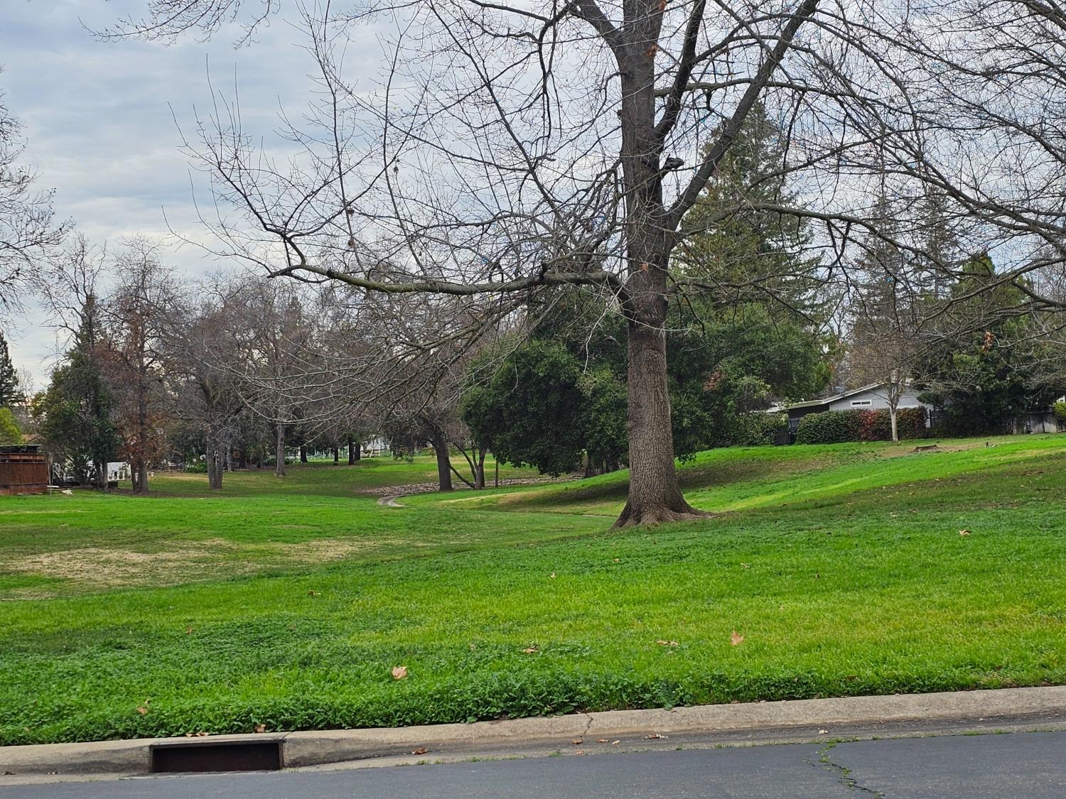 6608 Grosse Point Court