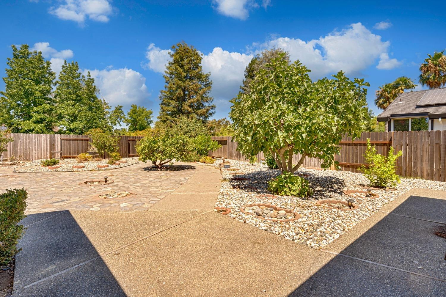 1441 Vista Creek Drive