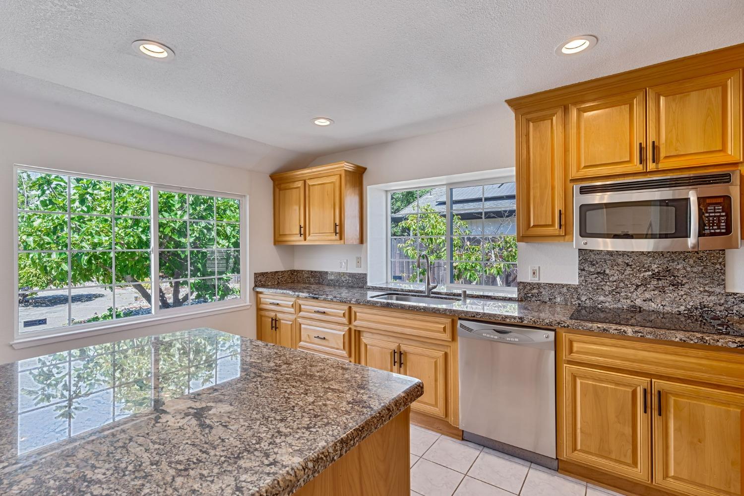 1441 Vista Creek Drive