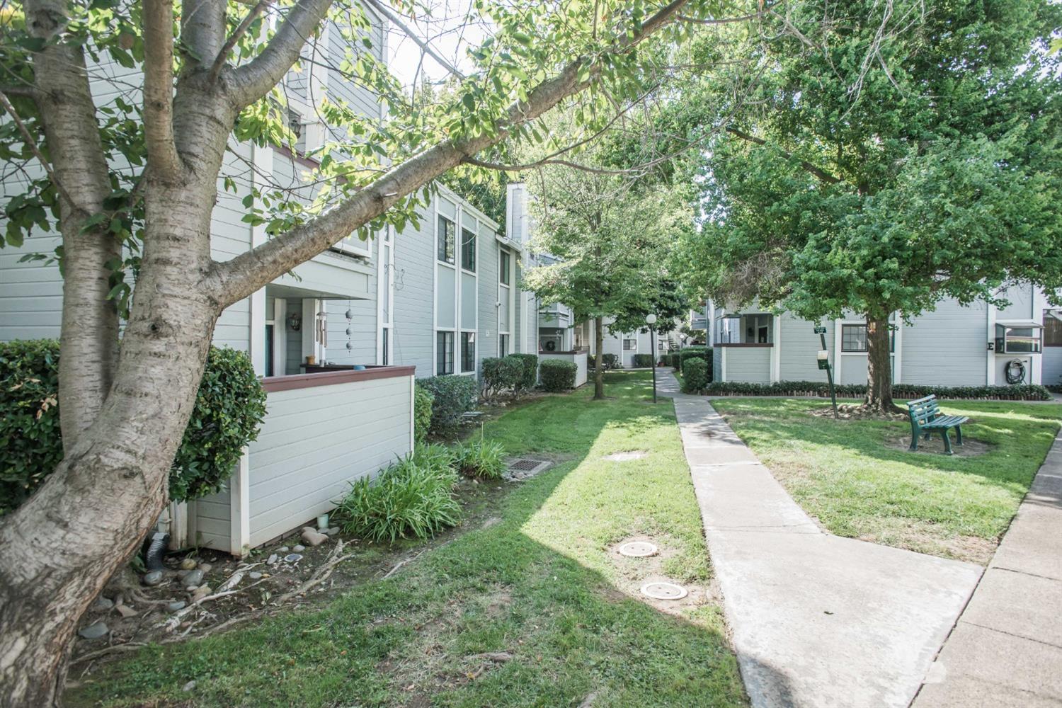 7409 Auburn Oaks Court M