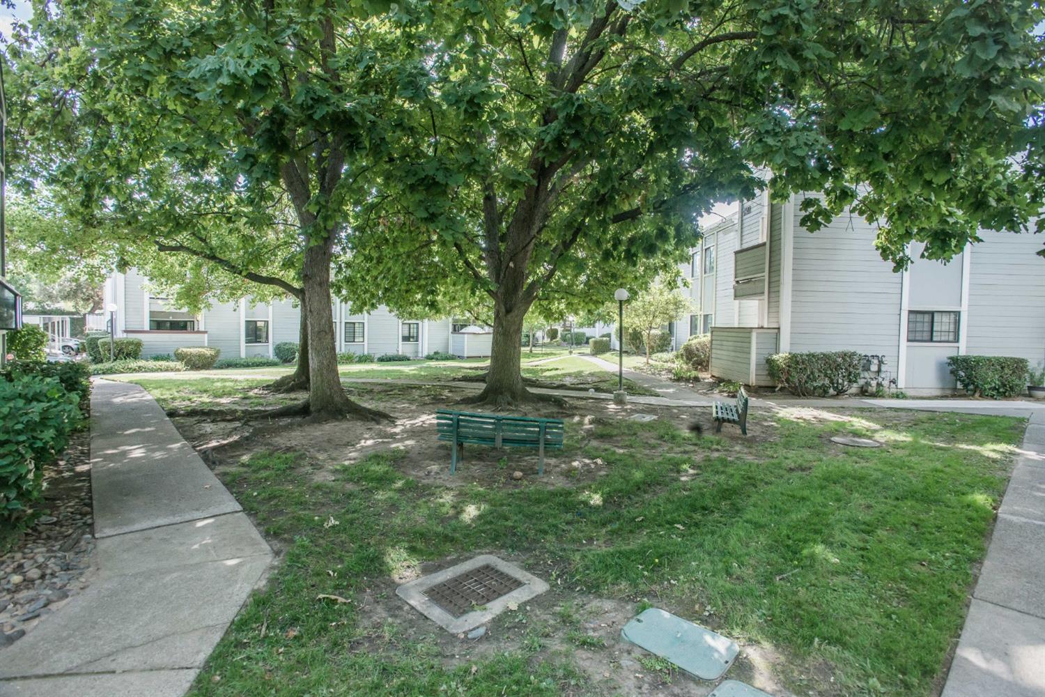 7409 Auburn Oaks Court M