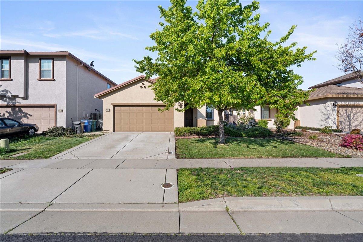 7448 Morning Hills Street