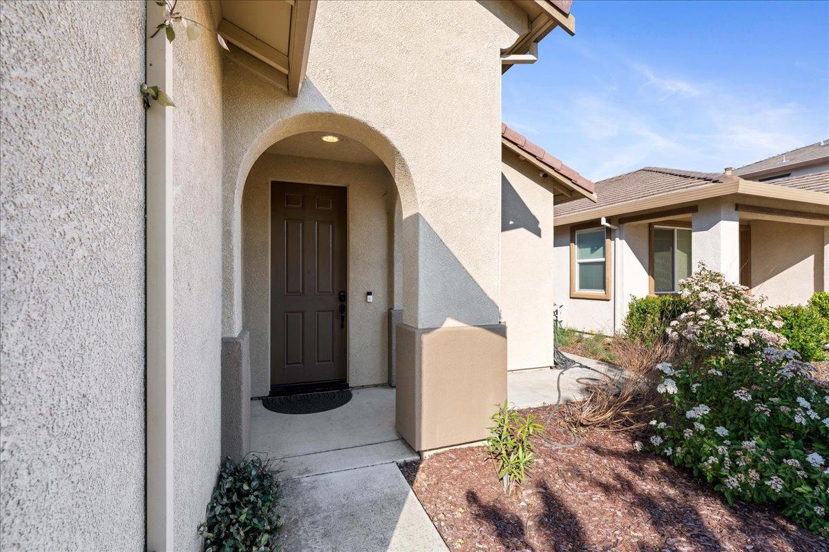 7448 Morning Hills Street