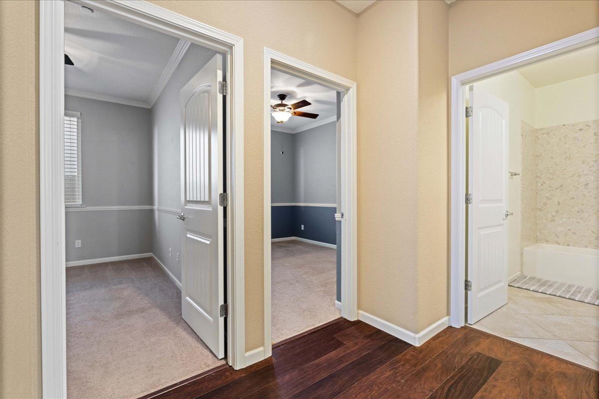 7448 Morning Hills Street