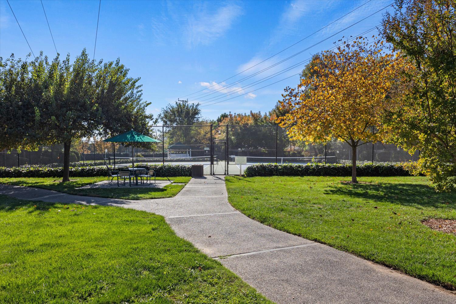 2241 Woodside Lane 4