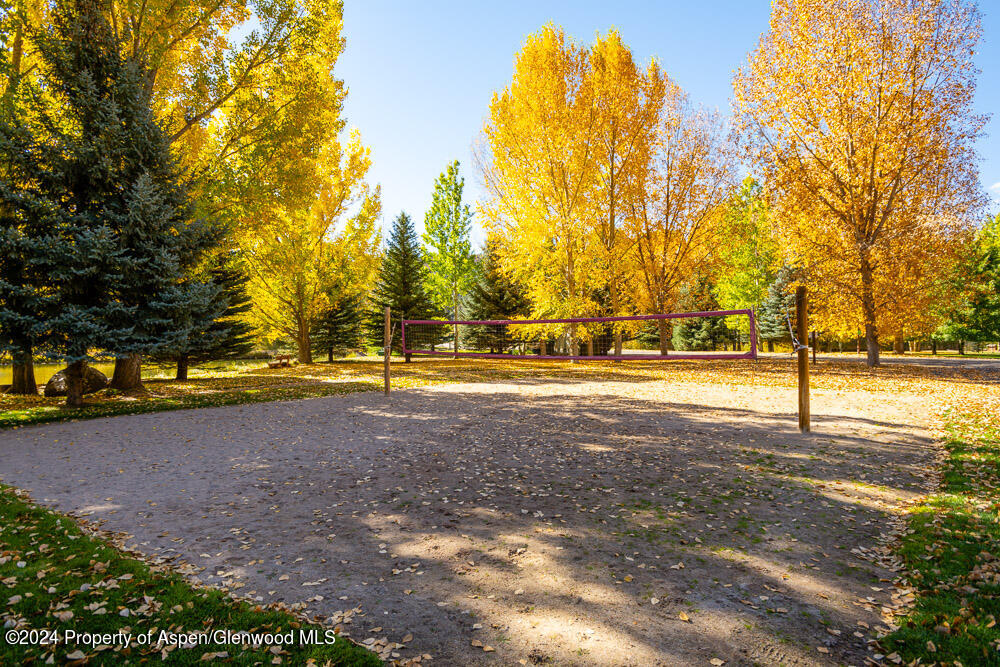 311 Sunflower Loop
