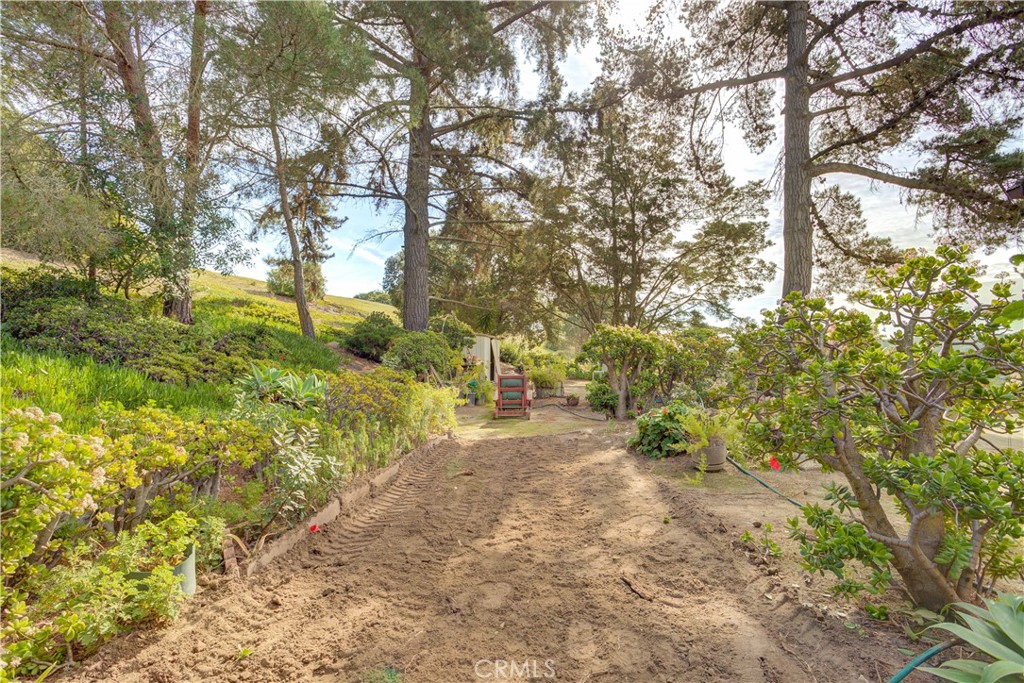 1178 Shannon Lane