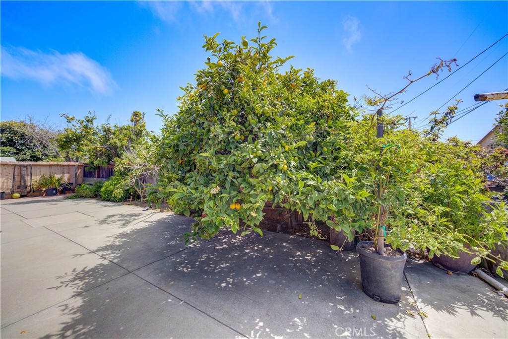 2120 Ocean Street