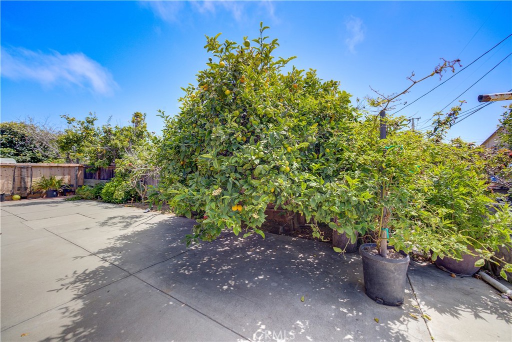 2120 Ocean Street