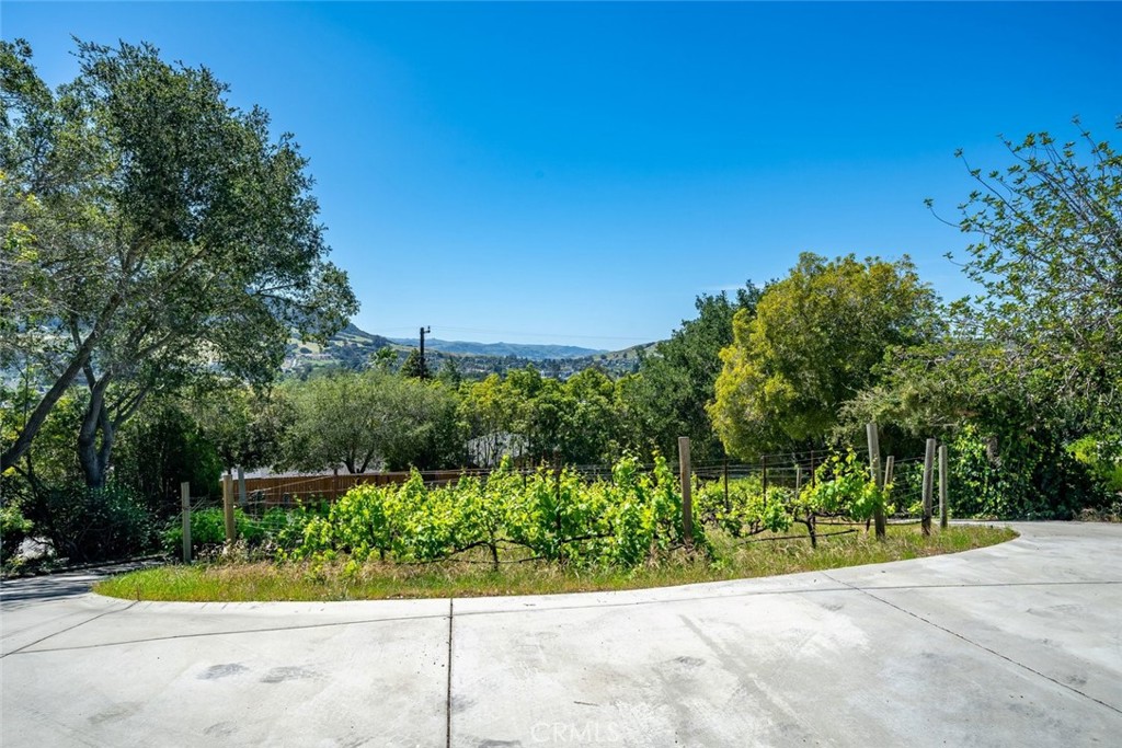 161 Longview Lane