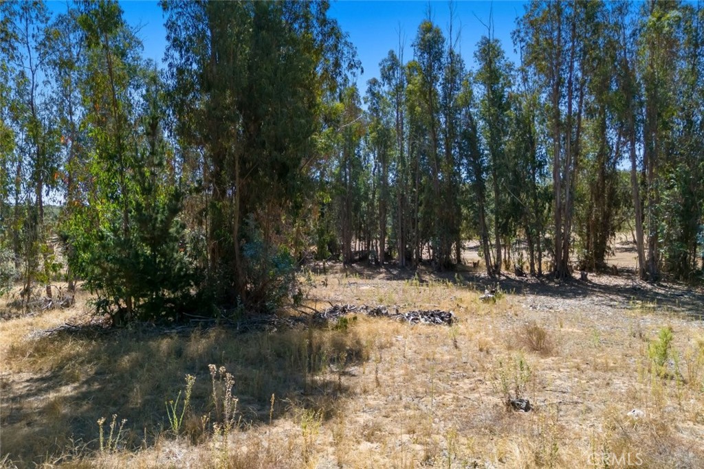 1831 Viejo Road