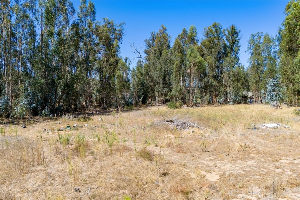 1831 Viejo Road