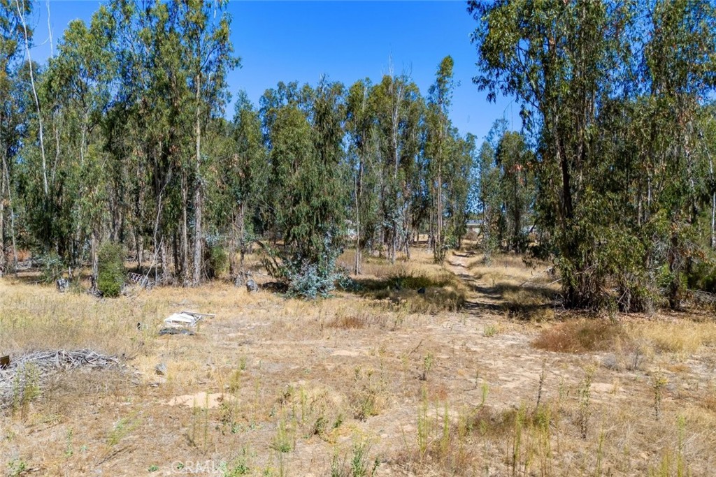 1831 Viejo Road