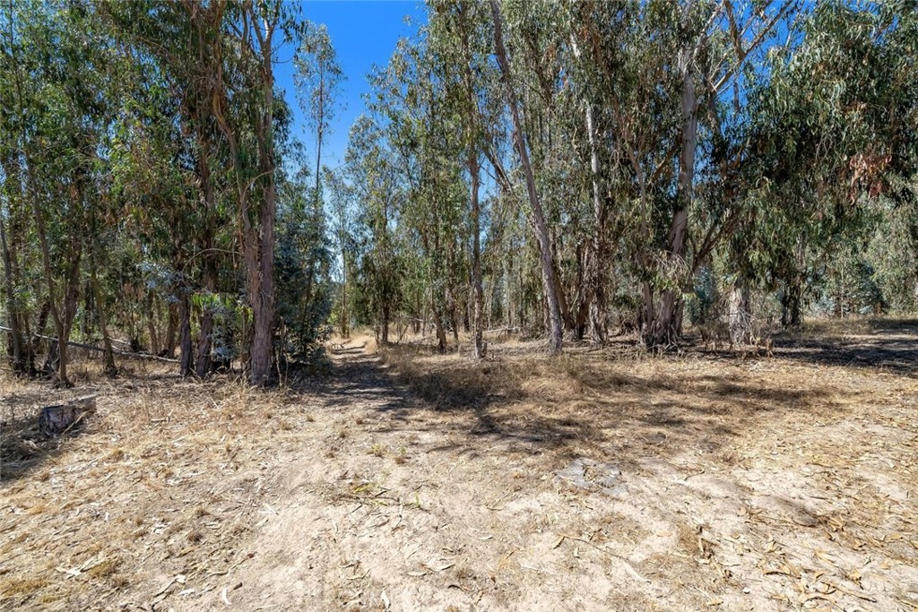 1831 Viejo Road