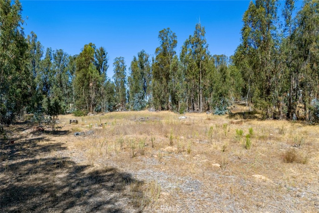 1831 Viejo Road