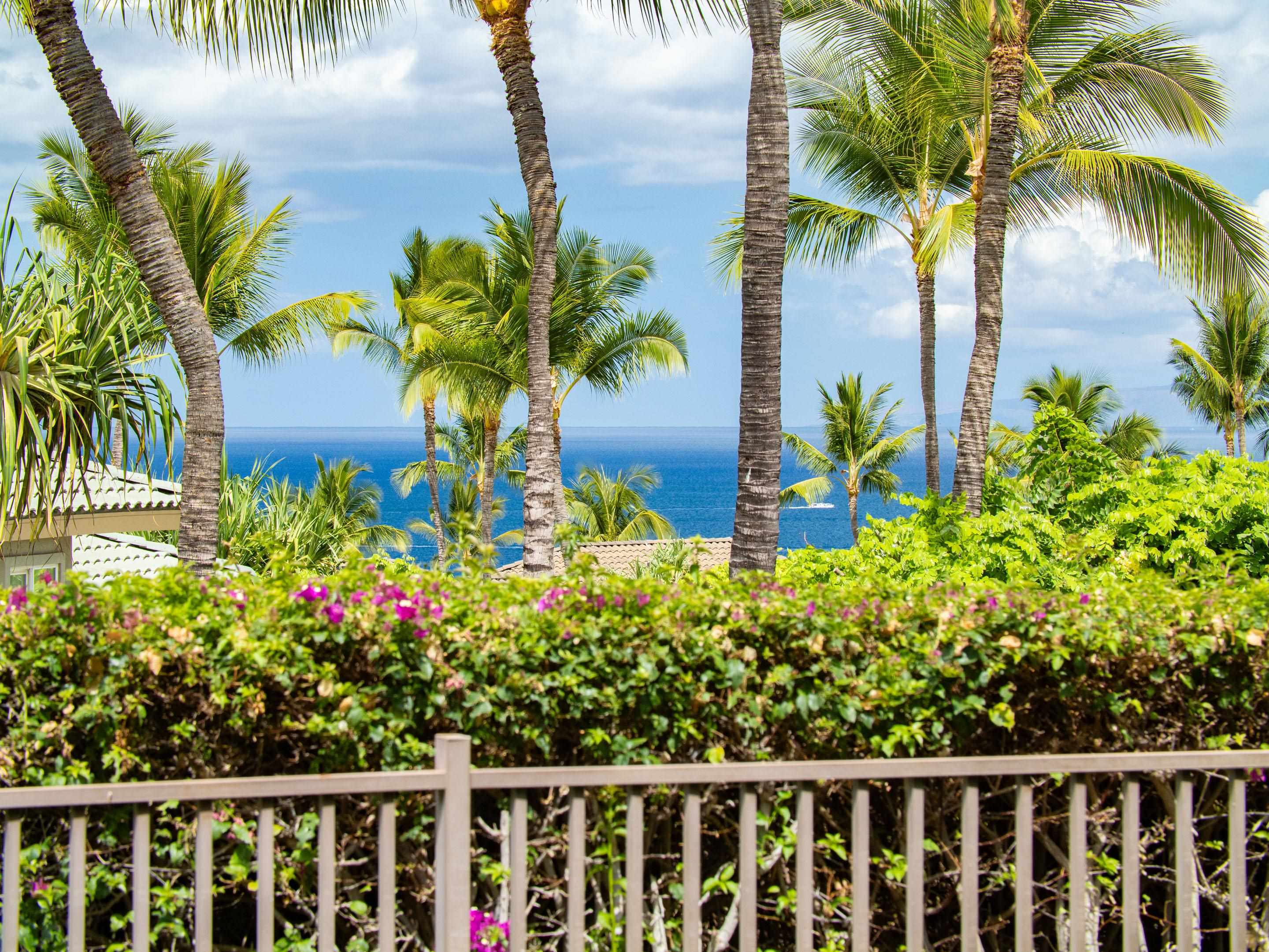 134 Kainui Loop Unit: 66A