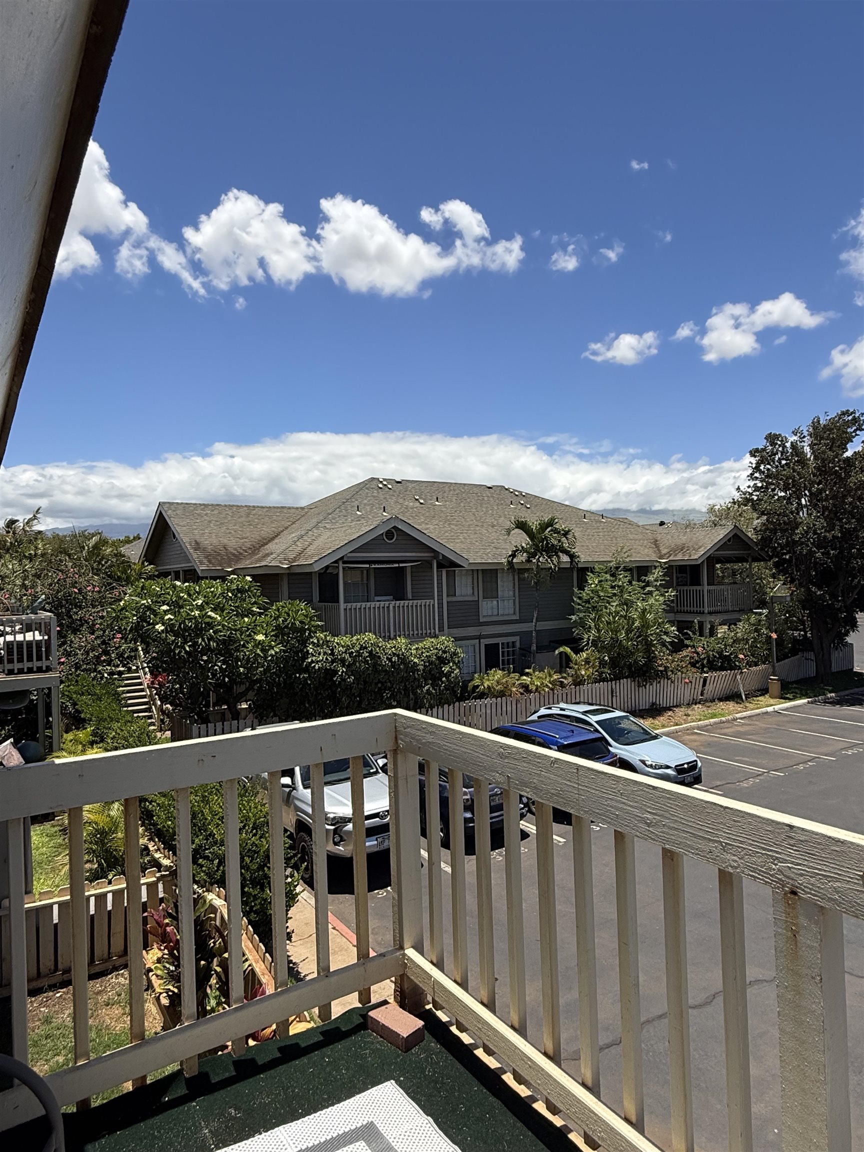 140 UWAPO Rd Unit: 50-203