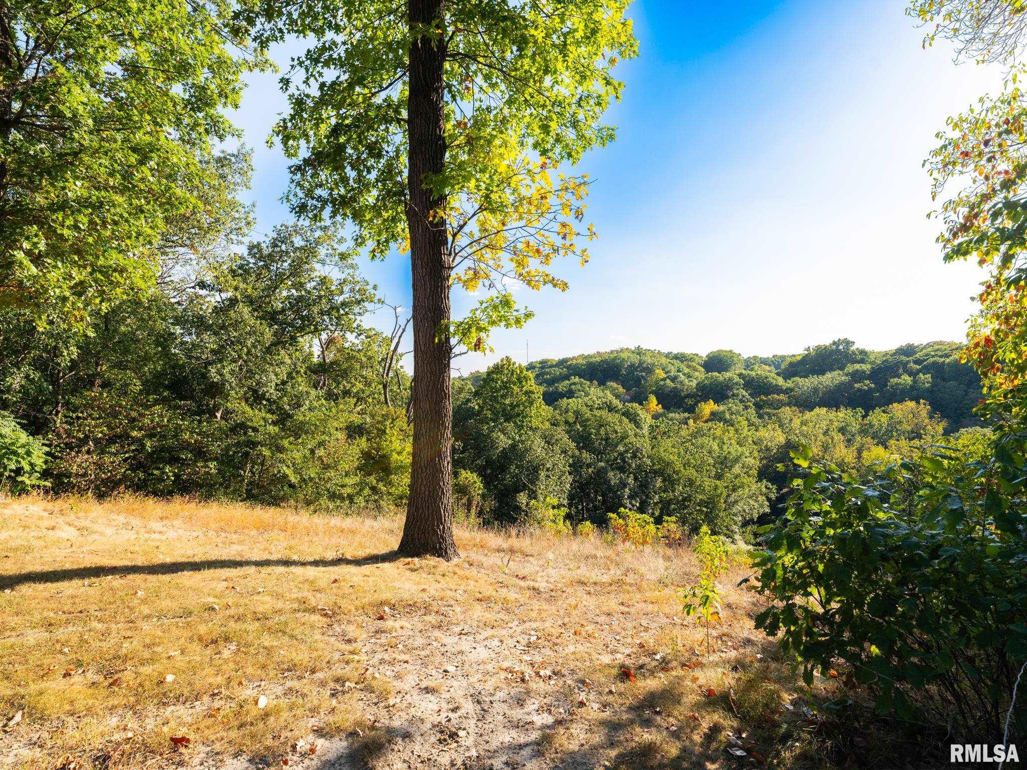 1406 SPRINGFIELD Road