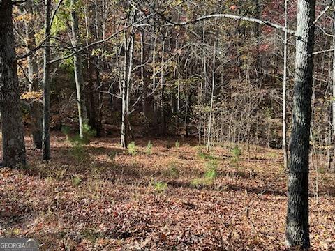 801 Radio Springs Road SW