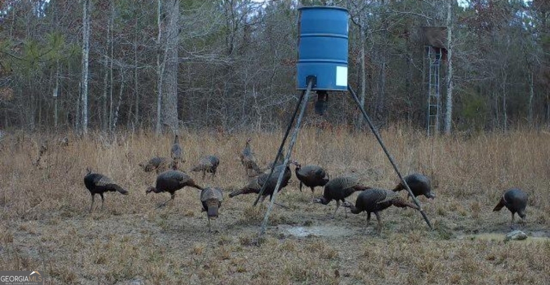 #46 Owens Dairy Road