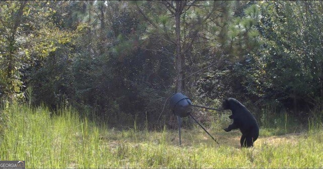 #46 Owens Dairy Road