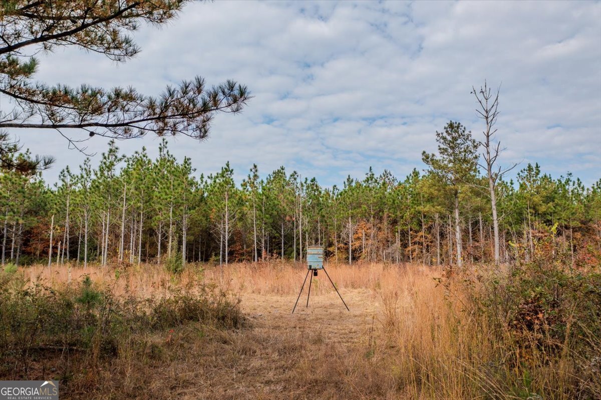 #46 Owens Dairy Road