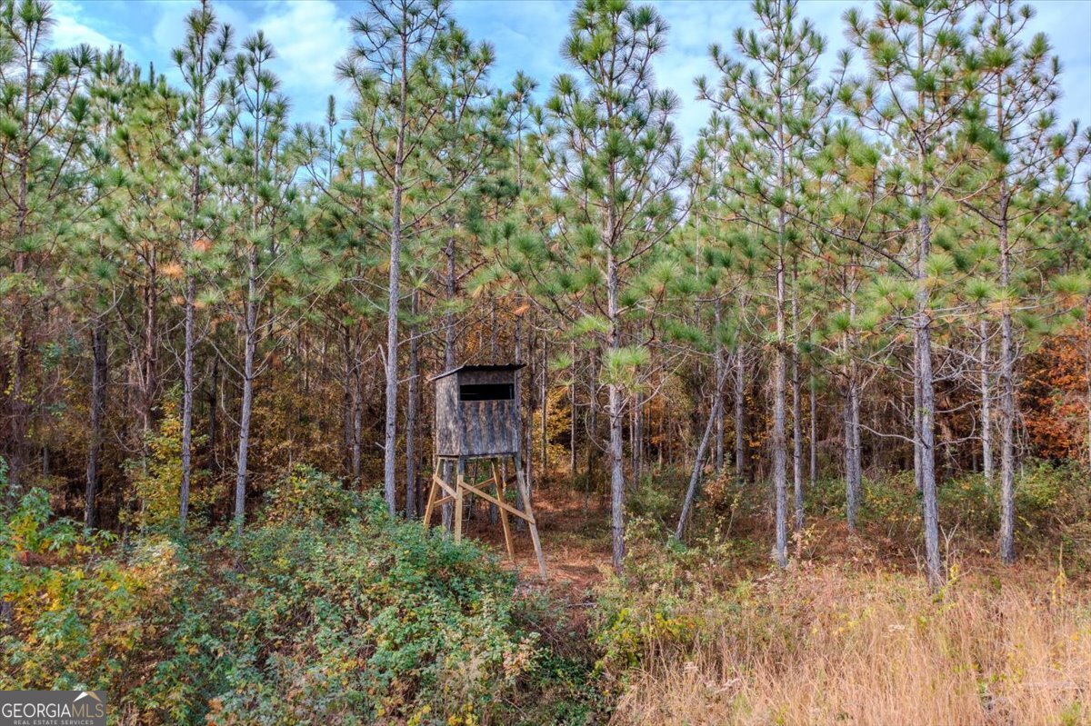 #46 Owens Dairy Road