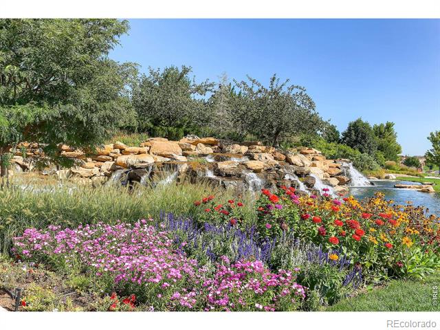 4420 White Rock Drive