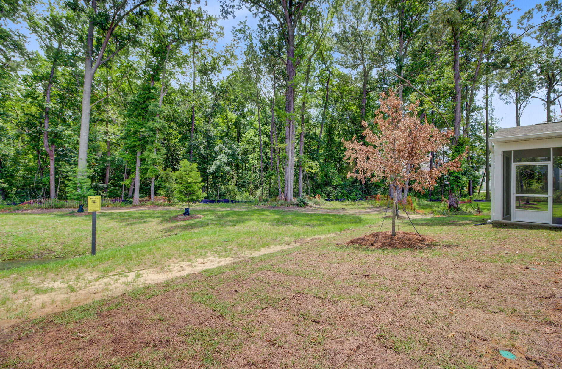 2018 Quiet Ibis Road