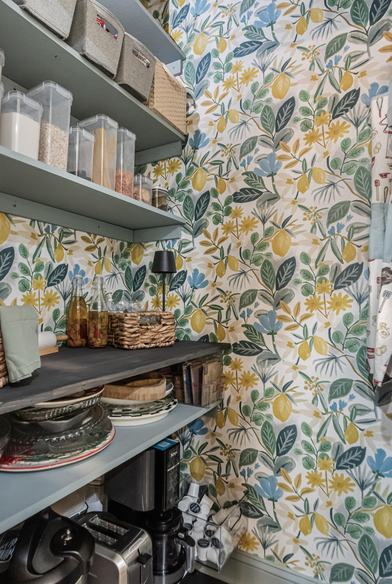 307 Morning Marsh Lane