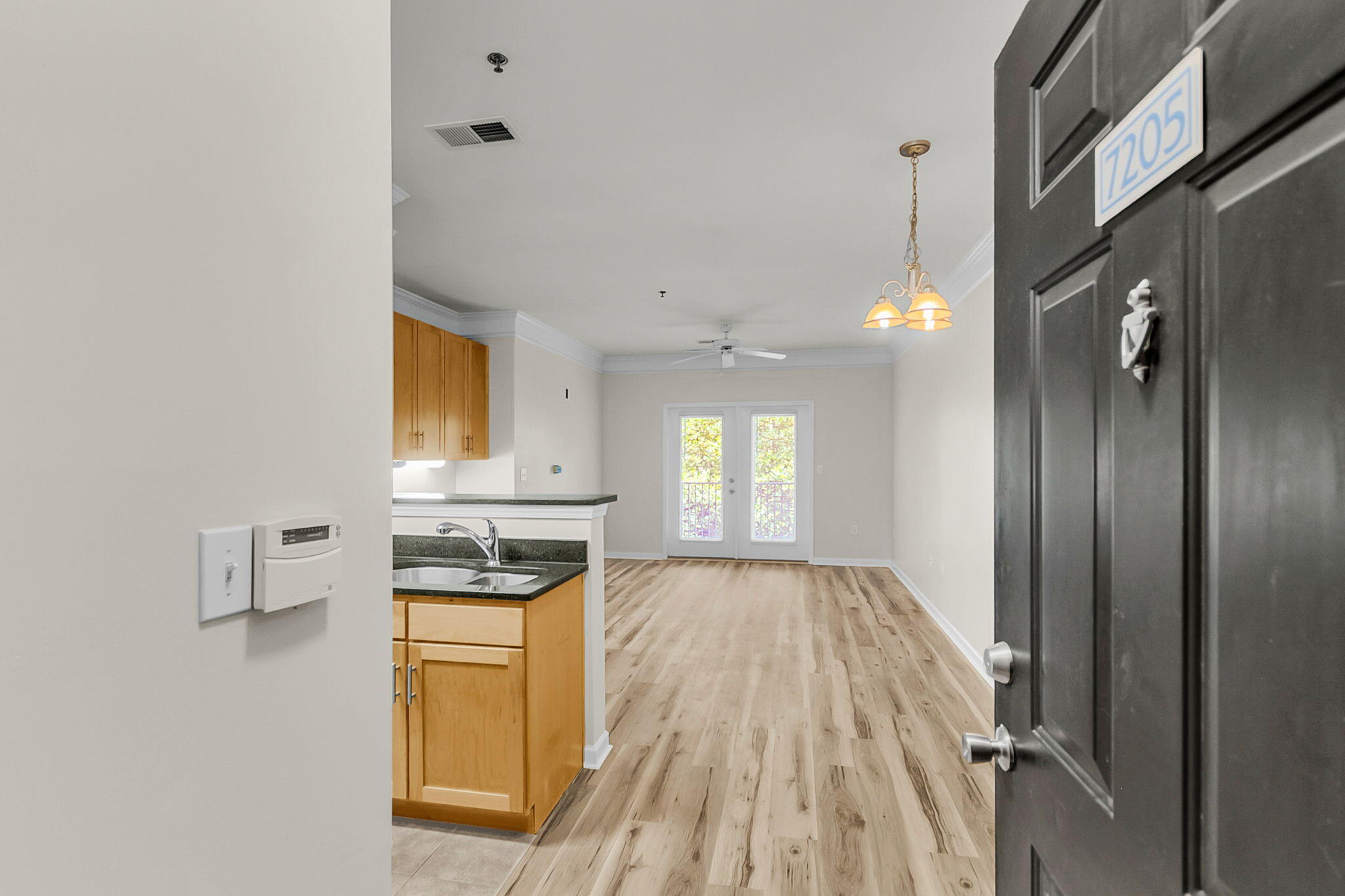 1755 Central Park Road Unit 7205