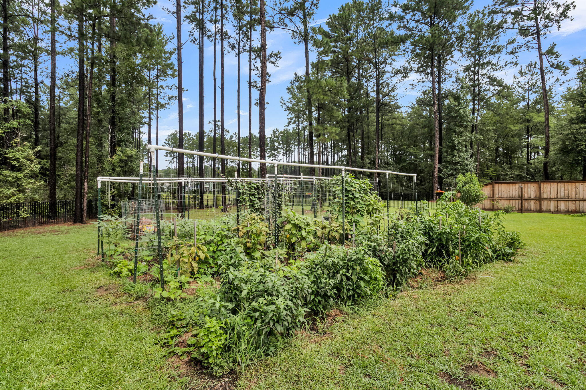 405 Henry Joseph Way