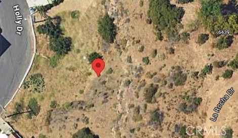 2354 Holly Drive