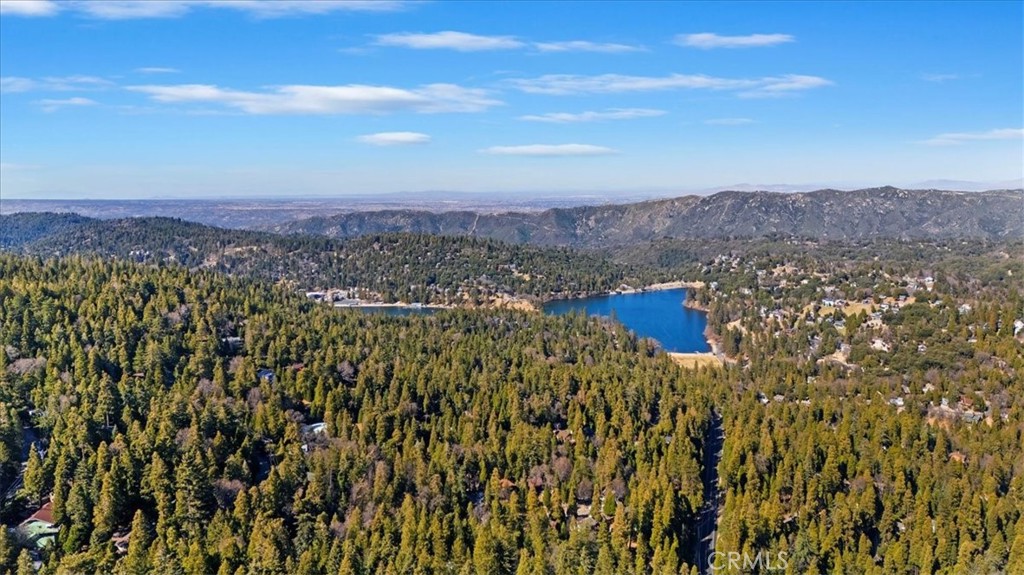 24655 Altdorf Drive
