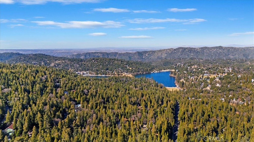 24655 Altdorf Drive