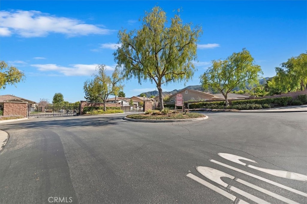 24185 Watercress Drive