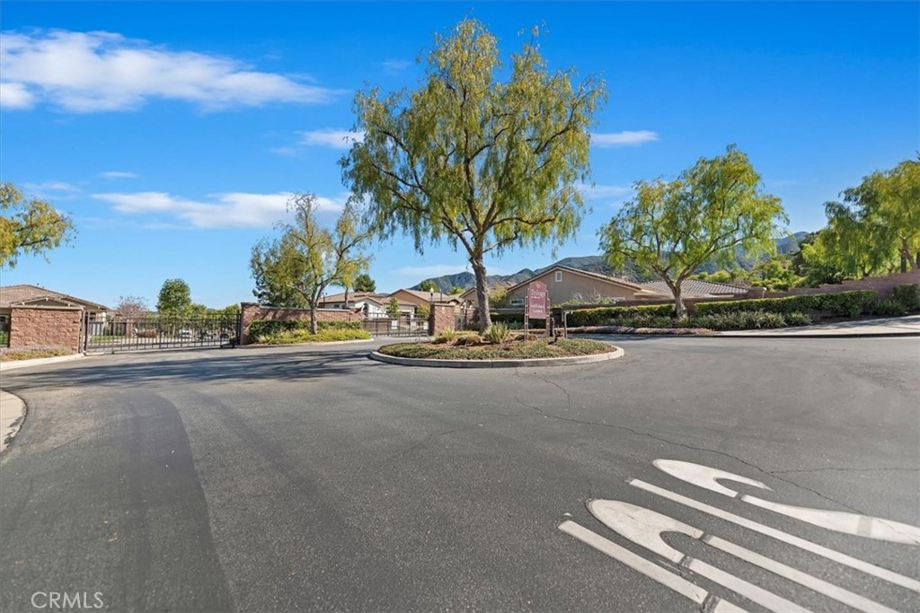 24185 Watercress Drive